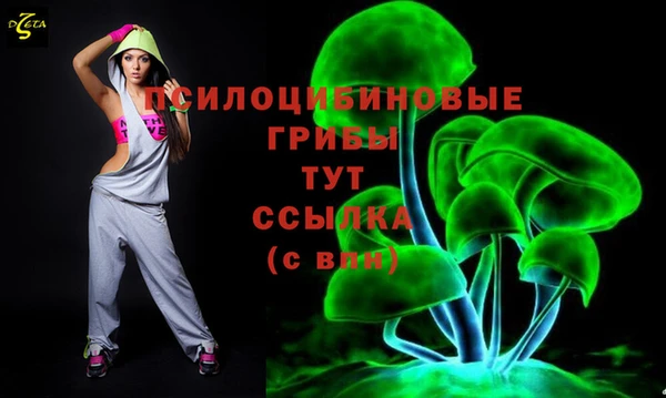 ALPHA PVP Туринск