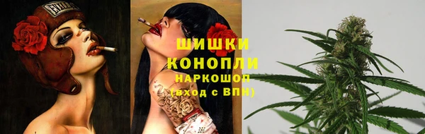 стаф Горняк