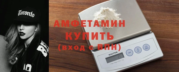 стаф Горняк