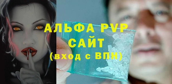 стаф Горняк