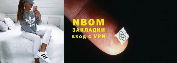 стаф Горняк